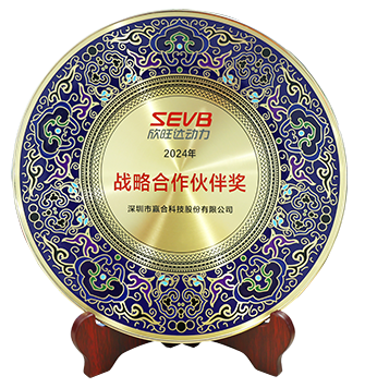 SEVB Strategic Partner Award